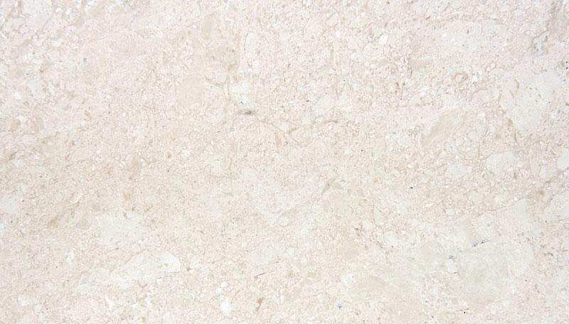 Beige Oasis